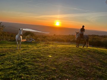 Picture of Ranch Marconi – Horseback Riding in Istria 